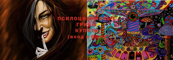 МДПВ Киренск