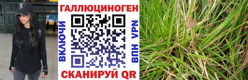 Галлюциногенные грибы Cubensis  Трубчевск 